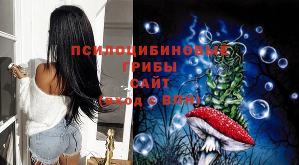 ГАЛЛЮЦИНОГЕННЫЕ ГРИБЫ Дмитров